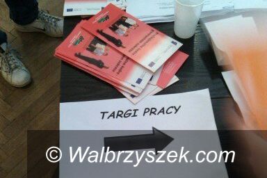 Region: Targi Pracy w Głuszycy
