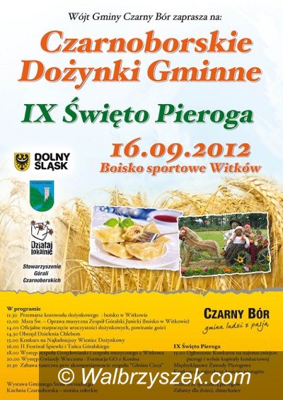 REGION, Czarny Bór: Dożynki i Festiwal Pieroga w gminie Czarny Bór