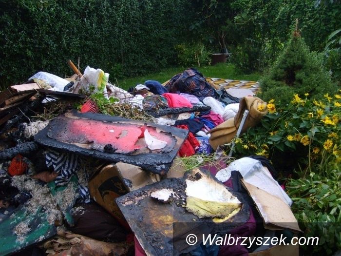Świdnica: Bandyckie zachowanie, podpalono kojec, w którym znajdowały się koty