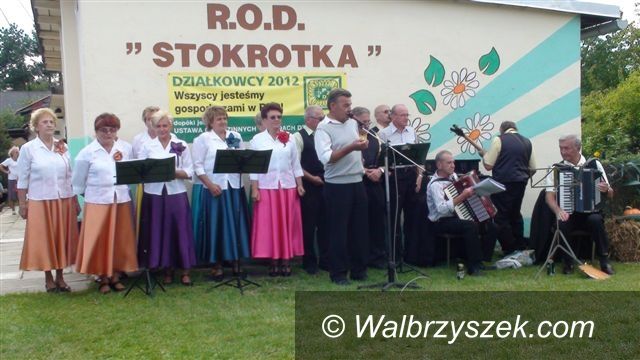 Świebodzice: Działkowe świętowanie