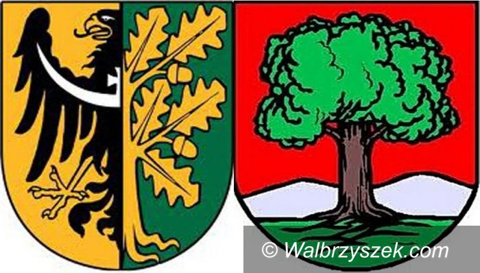 Wałbrzych: Urzędnik wyszedł przed szereg