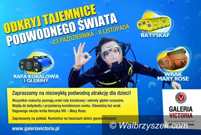 Wałbrzych: Tajemnice Podwodnego Świata w Galerii Victoria