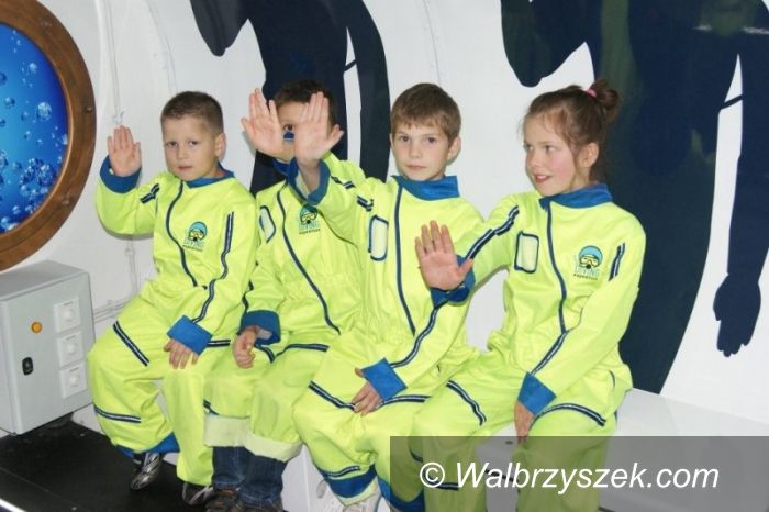 Wałbrzych: Odkryj tajemnice podwodnego świata w Galerii Victoria