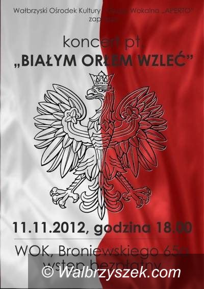 Wałbrzych: Aperto w Święto Niepodległości