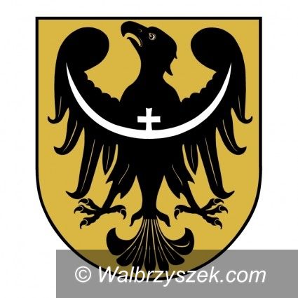 Wałbrzych: Szkolenia skrojone na miarę przedsiębiorstwa
