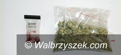 Region: Policjanci przechwycili blisko 150 porcji narkotyków