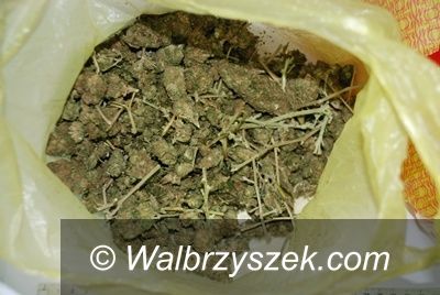 Wałbrzych: Zatrzymali narkotykowego dealera