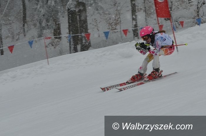 Boguszów Gorca: Otwarte Mistrzostwa Wałbrzycha w Narciarstwie Alpejskim
