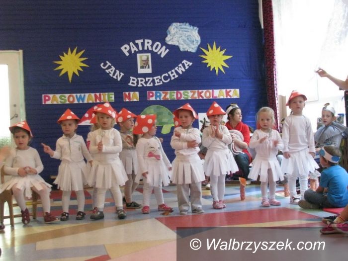 Wałbrzych: Głosuj na Integracyjne Przedszkole Samorządowe nr 17
