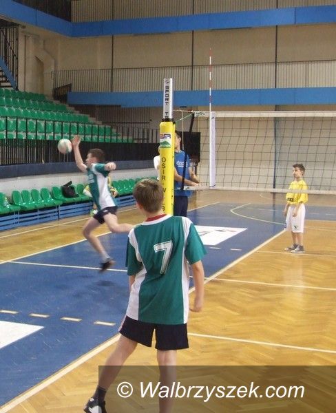 Wałbrzych: Eliminacje mini siatkówki
