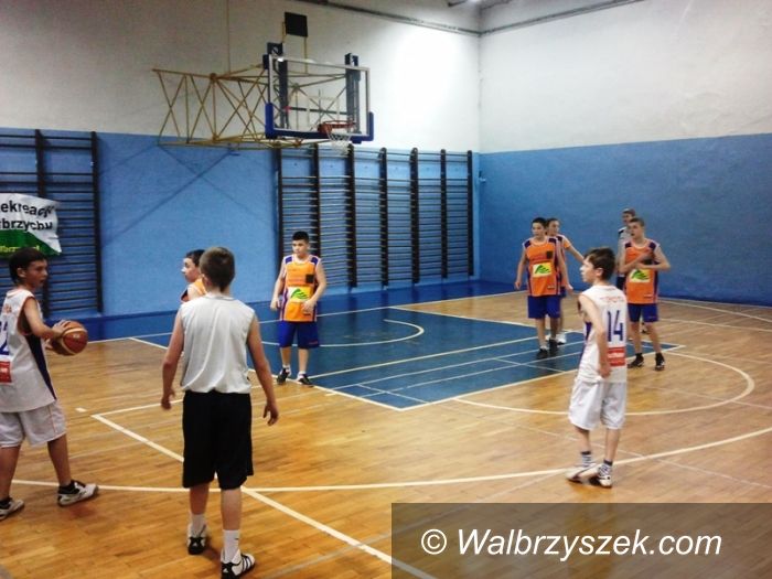 Wałbrzych: Toyota Basket Liga