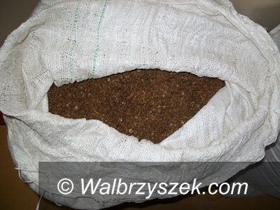 Region: Policjanci i funkcjonariusze Straży Granicznej zabezpieczyli 100 kg tytoniu