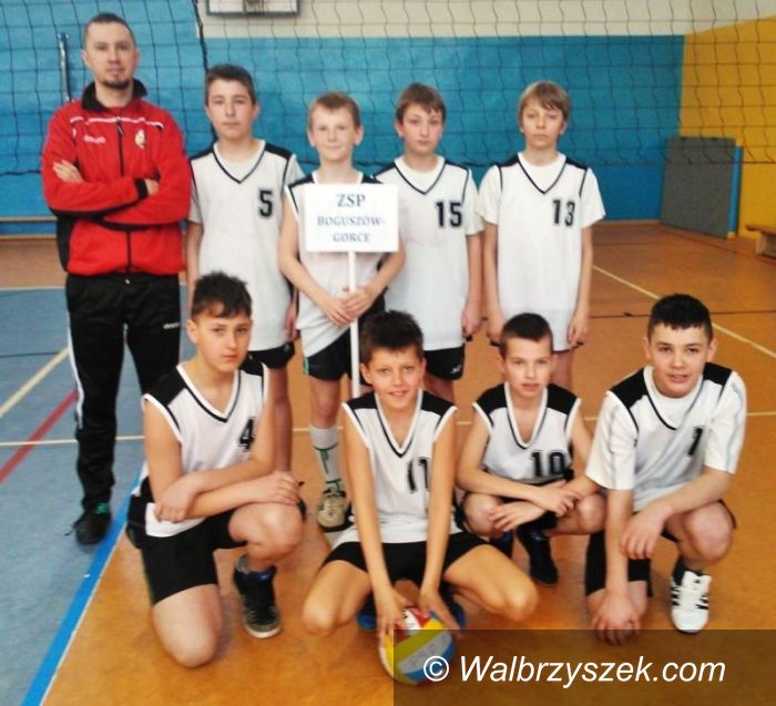 Boguszów-Gorce: Sukces siatkarzy z Boguszowa–Gorc