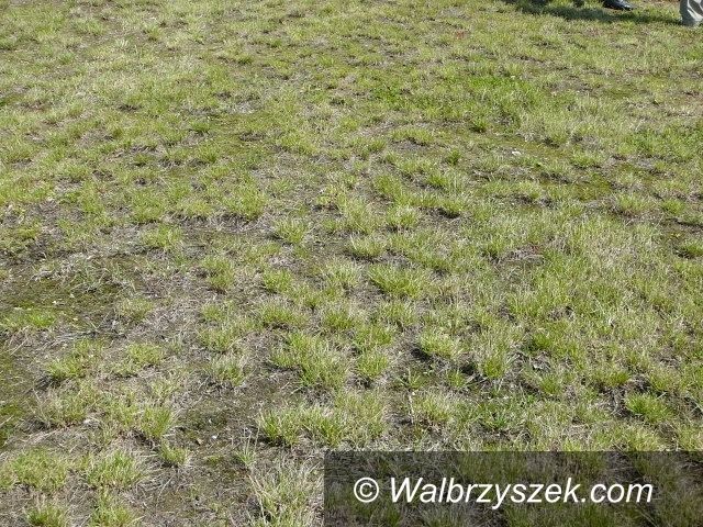 Wałbrzych: Boisko przy ulicy Blankowej przestaje istnieć