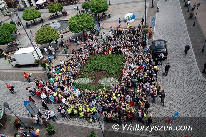 Wałbrzych: Herb z kwiatów