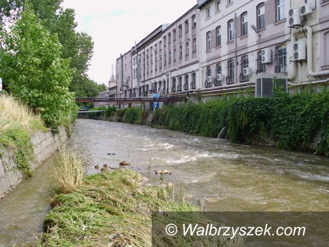 Świebodzice: Pełcznica nie wystąpiła z koryta