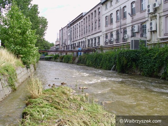 Pełcznica nie wystąpiła z koryta wiadomości Świebodzice