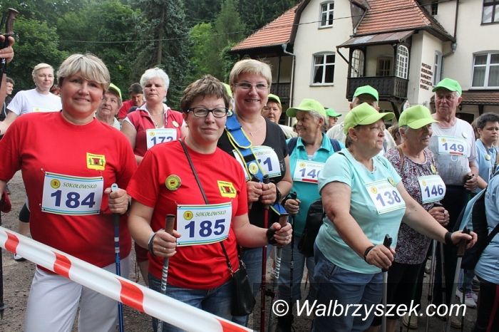 Region: Nordic Walking w Sokołowsku