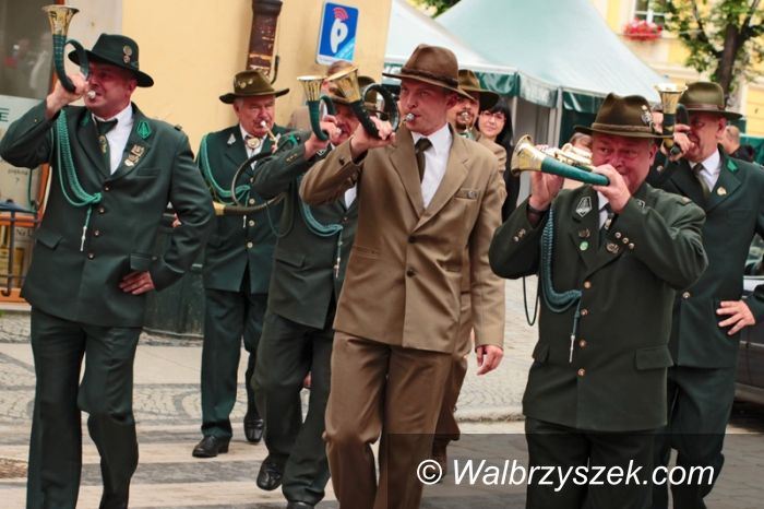 Świdnica: Weekend z dzikiem w Świdnicy