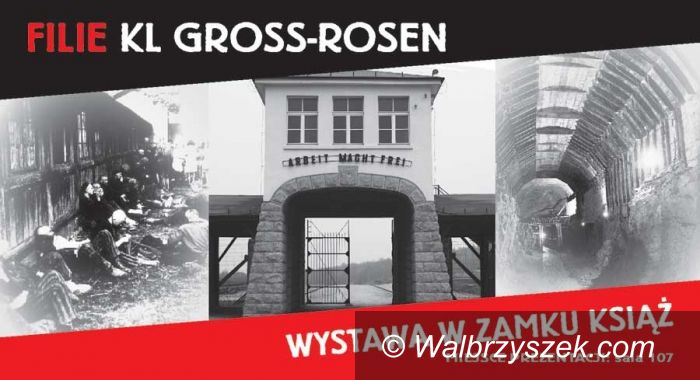 Wałbrzych: Zamek Książ zaprasza na wystawę