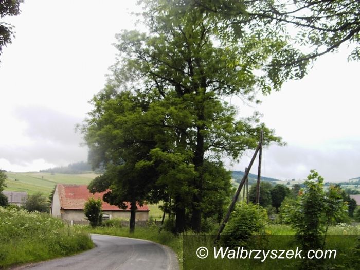 REGION, Gostków: Wyremontują drogę w Gostkowie