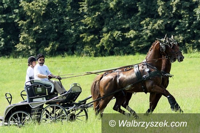 Książ: Powożenie 2013