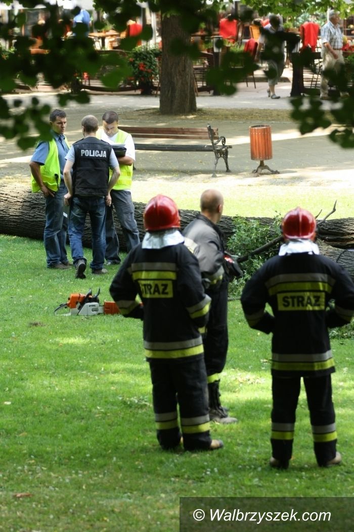 Szczawno-Zdrój: Tragedia w Szczawnie–Zdroju. Zginęło dziecko