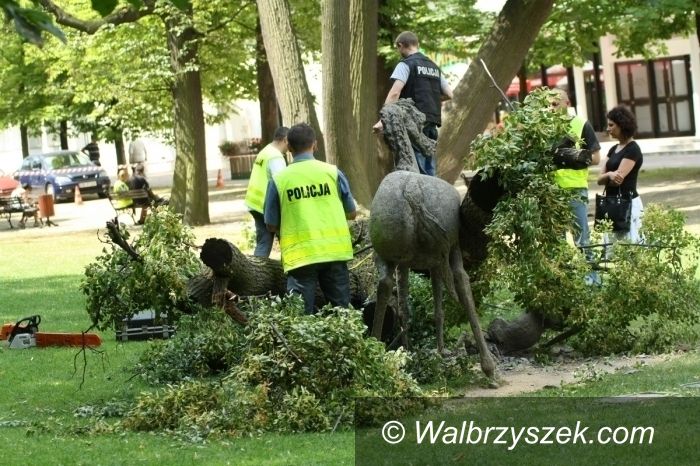 REGION, Szczawno Zdrój: Echa tragedii, w której śmierć poniosła 4–letnia dziewczynka