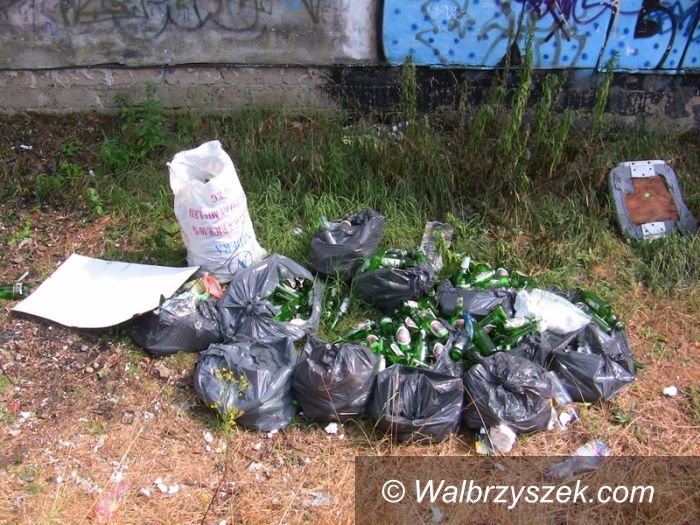 Wałbrzych: Butelki i papa zalegają za garażami