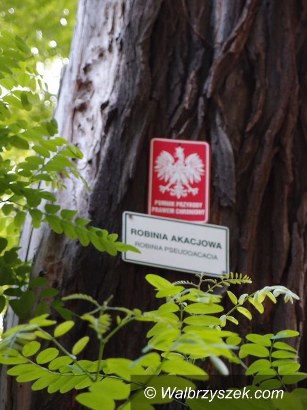 REGION, Szczawno Zdrój: Mieszkańcy alarmują