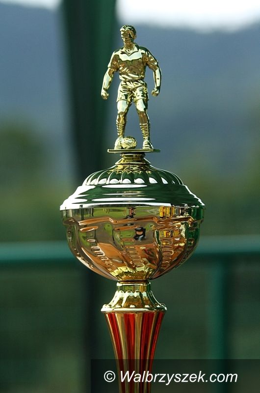 Jedlina Zdrój: JEDLINA–ZDRÓJ CUP 2013