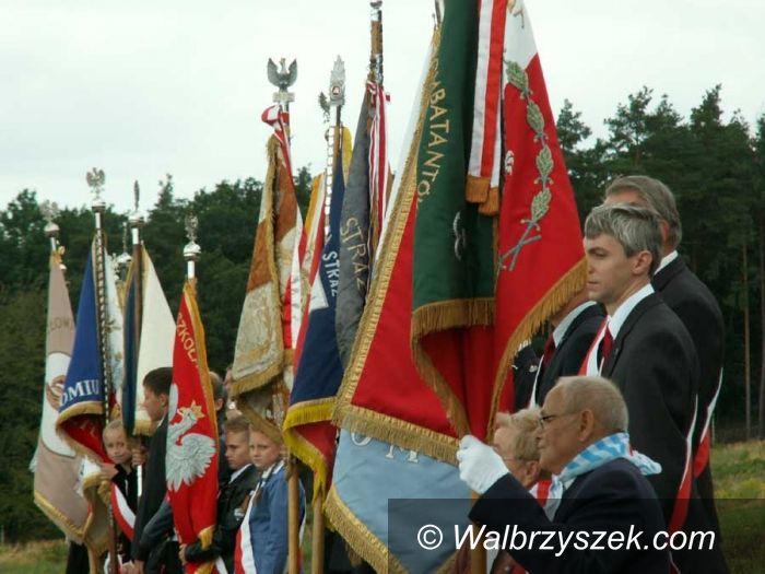 Rogoźnica: Uroczystości Rocznicowe w Rogoźnicy