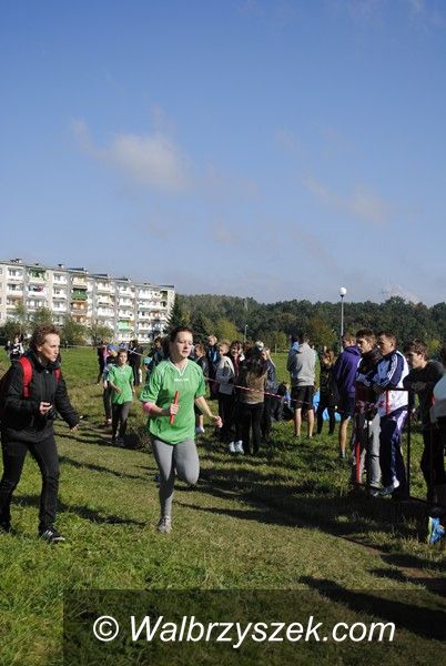 Wałbrzych: Sztafety w biegach przełajowych
