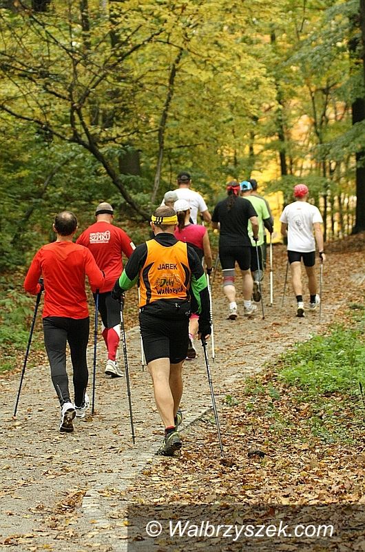 Wałbrzych: Mistrzostwa Wałbrzycha w nordic walking