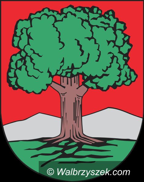 Wałbrzych: Miasto szuka ogrodnika