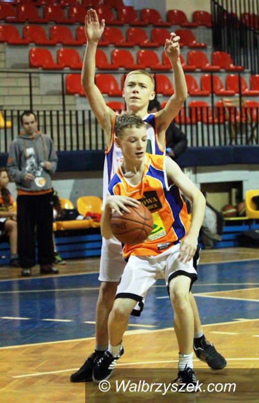 Wałbrzych: Toyota Basket Liga