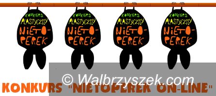 Wałbrzych: Nietoperek on–line