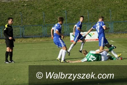 Wałbrzych: Kluby sportowe dostaną pieniądze