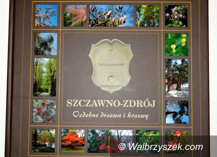 REGION, Szczawno Zdrój: Nowe wydawnictwo o Szczawnie–Zdroju