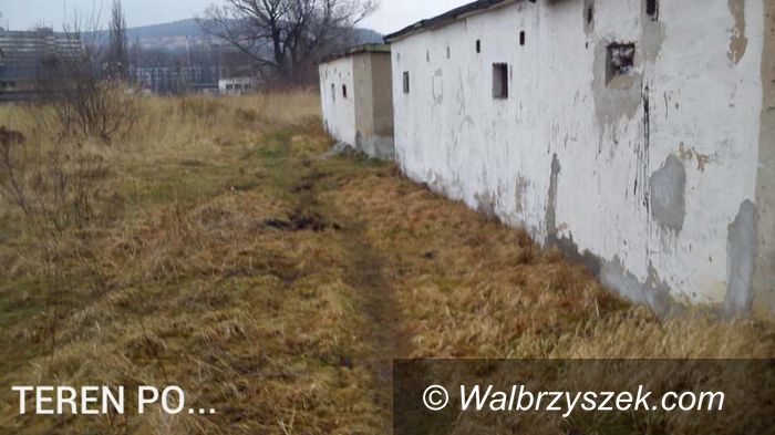 Wałbrzych: Zlikwidowane wysypisko śmieci na Ceglanej
