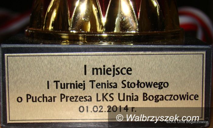 Stare Bogaczowice: W tenisa stołowego grali w Starych Bogaczowicach