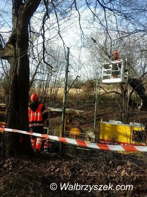 Wałbrzych: Kłopotliwe podpalenie trawy