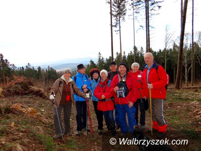 REGION, Boguszów-Gorce/Wałbrzych: "Dookoła Dzikowca"