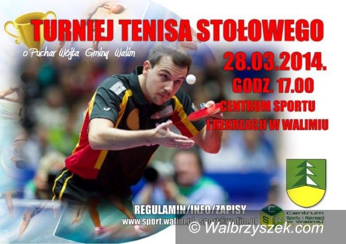 Walim: W Walimiu zagrają w tenisa stołowego