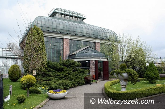 Wałbrzych: Modernizacja wałbrzyskiej Palmiarni