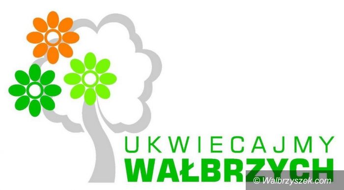 Wałbrzych: Układamy herb Wałbrzycha z kwiatów
