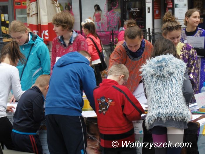 Wałbrzych: V Piknik Wałbrzyskich Organizacji Pozarządowych