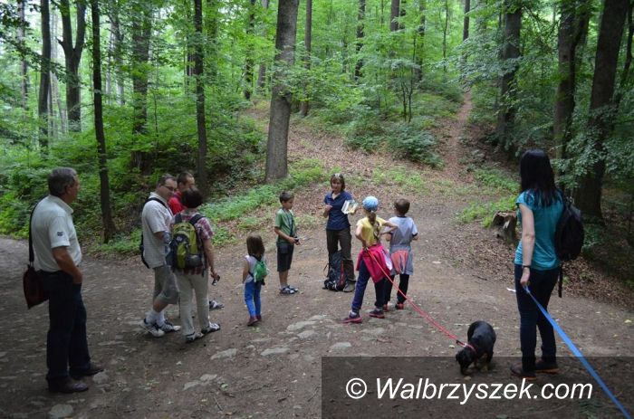 Region: Bezpłatne wycieczki rodzinne po Górach Sowich