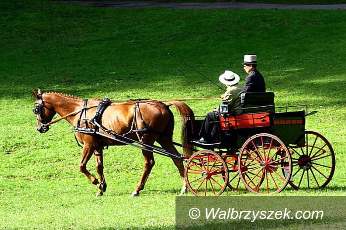 Książ: Konkurs powożenia w Książu
