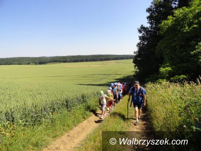 Wałbrzych: Początek wakacji w OSK